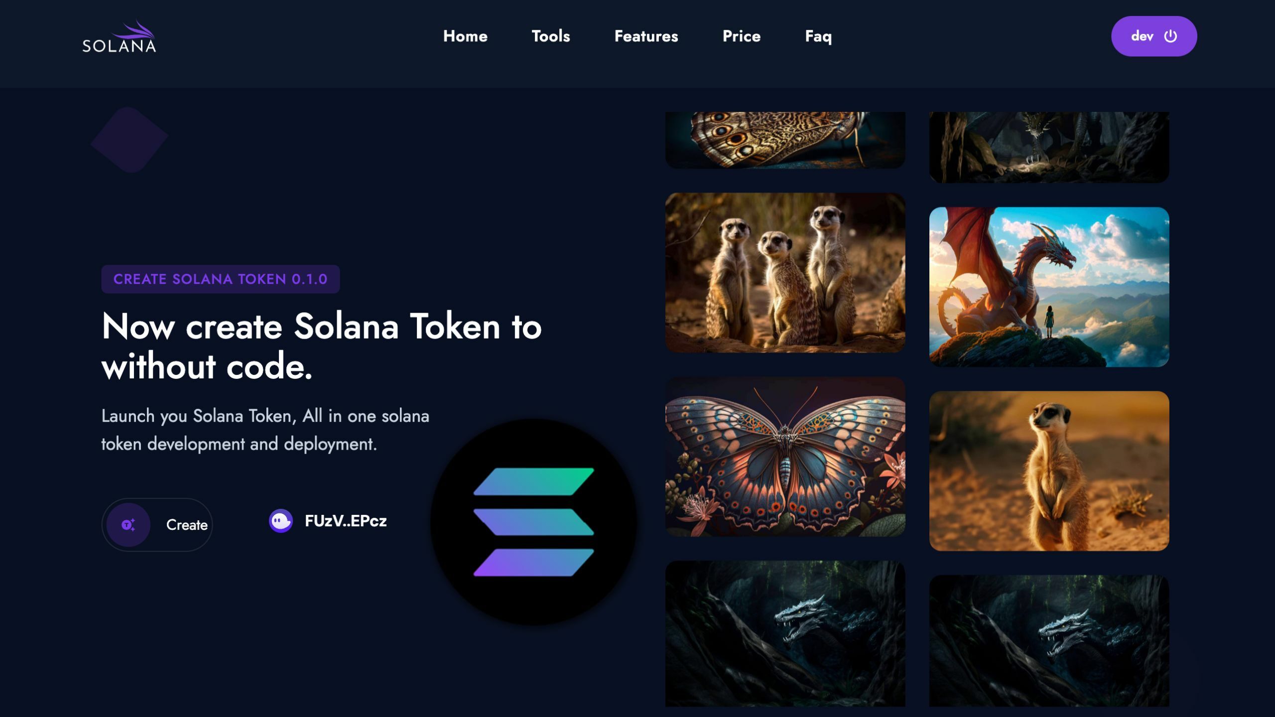 The Blockchain Coders